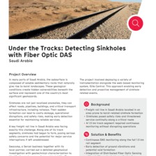 Case Study: Detecting Sinkholes with Fiber Optic DAS Case Study: Detecting Sinkholes with Fiber Optic DAS
