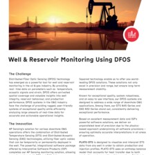 Flyer: Well & Reservoir Monitoring Flyer: Well & Reservoir Monitoring