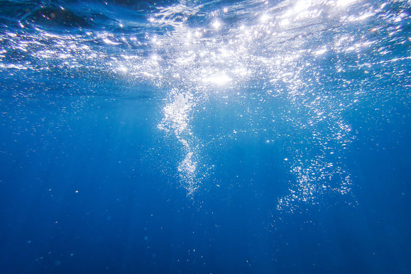 Underwater_AdobeStock_684251270_lowres Underwater_AdobeStock_684251270_lowres