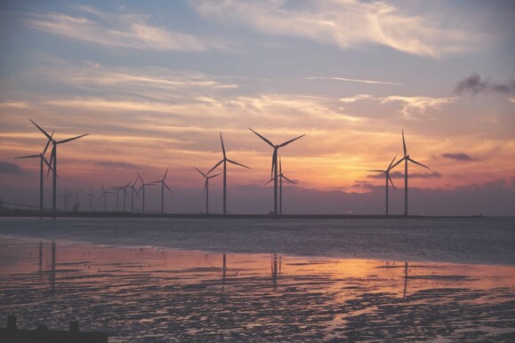 Renewable energy wind farm at sunset, representing assets suitable for AP Sensing fiber optic condition monitoring Renewable energy wind farm at sunset, representing assets suitable for AP Sensing fiber optic condition monitoring
