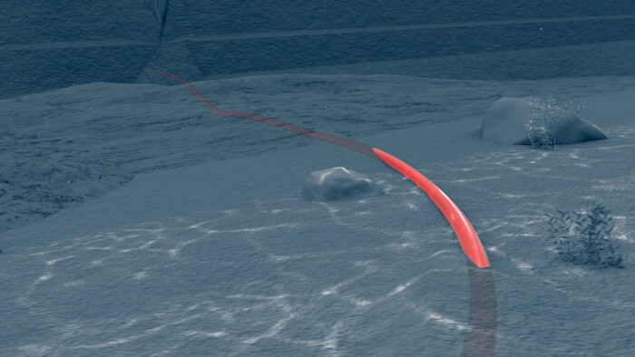Visualize fiber optic sensing cable path for monitoring pipelines or infrastructure Visualize fiber optic sensing cable path for monitoring pipelines or infrastructure