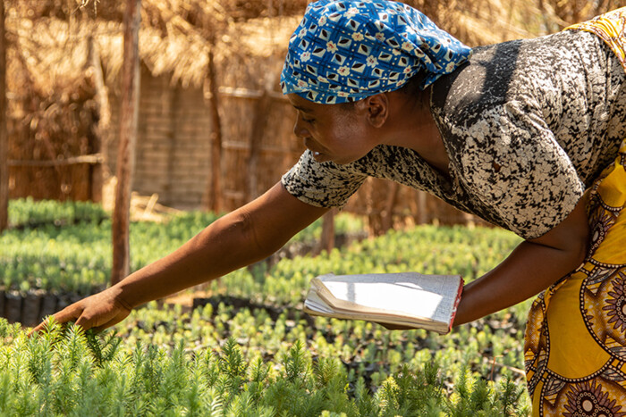 Wir pflanzen 100 Bäume für jeden verkauften faseroptischen Sensor Präzise Überwachung in Umwelt- und Landwirtschaftsanwendungen